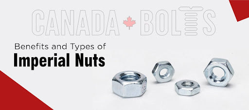What are the Benefits and Types of Imperial Nuts You Should Know?