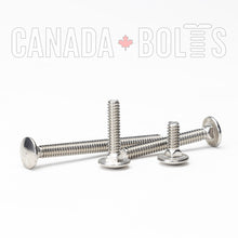  Imperial, Carriage Bolts, Stainless Steel, #10-24 - IS1641-1431