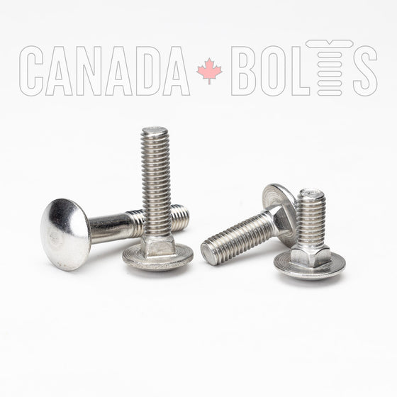 Metric, Carriage Bolts, Stainless Steel, M8 - MS1641-5383-100 Canada Bolts
