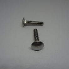  Carriage Bolts, Stainless Steel, 1/4"-20X1 1/4"