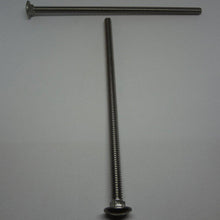  Carriage Bolts, Stainless Steel, 1/4"-20X6"